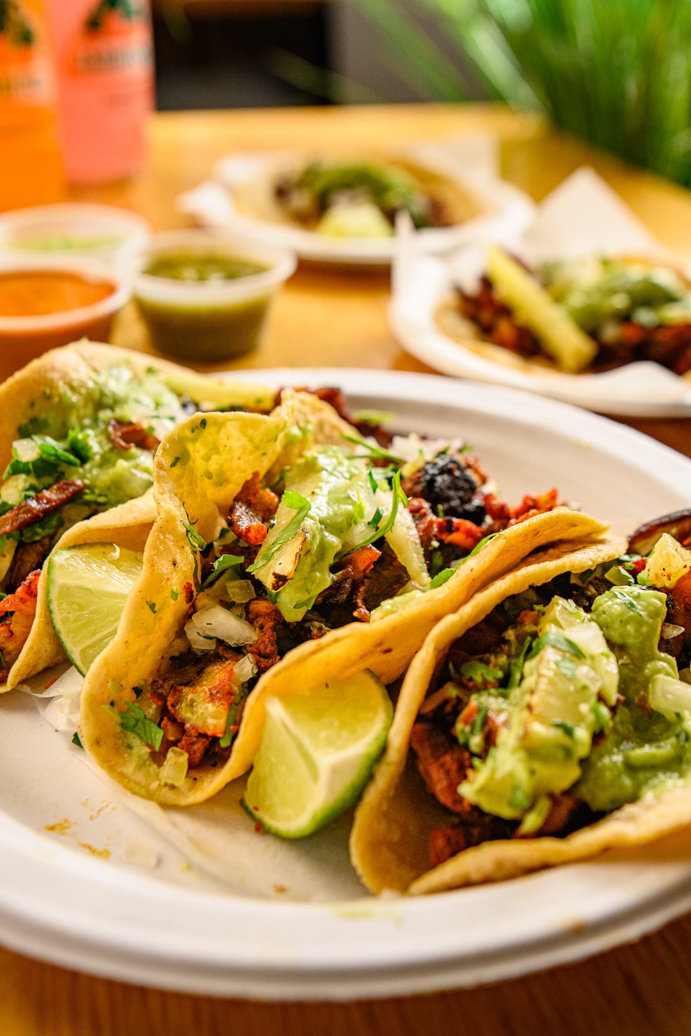 Plate of tacos